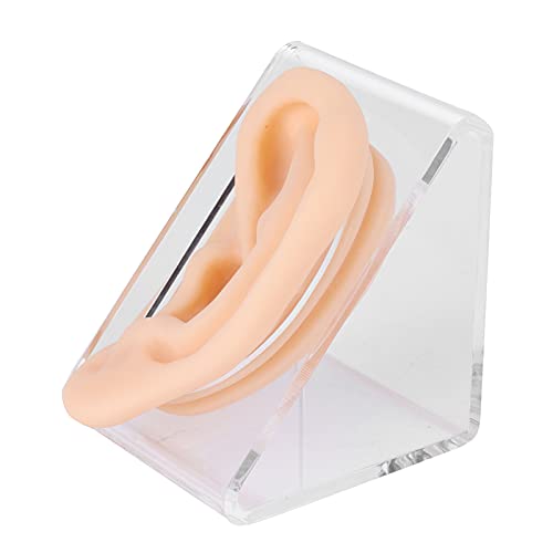 Ear Model - Soft Silicone Ear Acupuncture Practice Model Human Ear Model with...