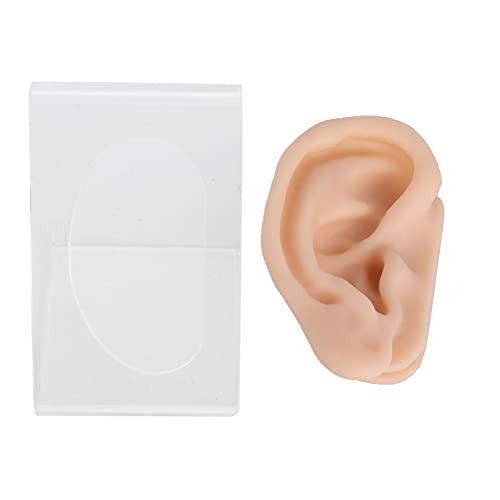 Ear Model - Soft Silicone Ear Acupuncture Practice Model Human Ear Model with...