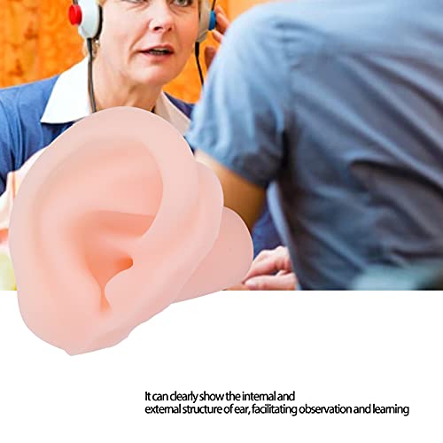 Silicone Acupuncture Ear Model, Silicone Ear Model Simulation Multifunctional...