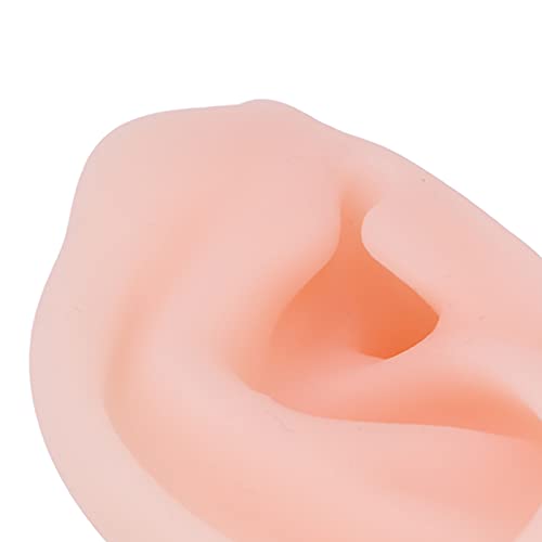 Silicone Acupuncture Ear Model, Silicone Ear Model Simulation Multifunctional...