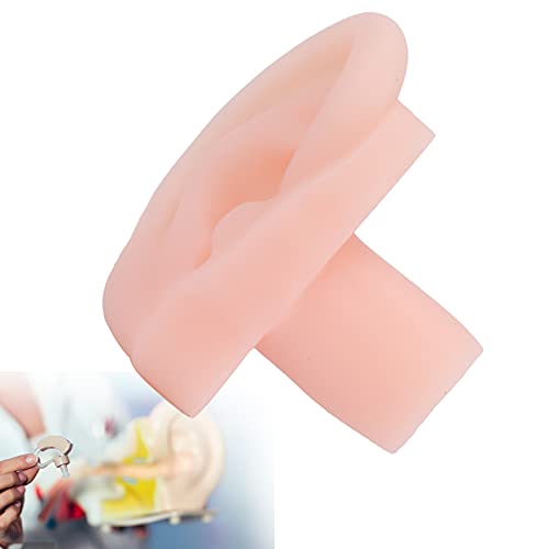 Silicone Acupuncture Ear Model, Silicone Ear Model Simulation Multifunctional...