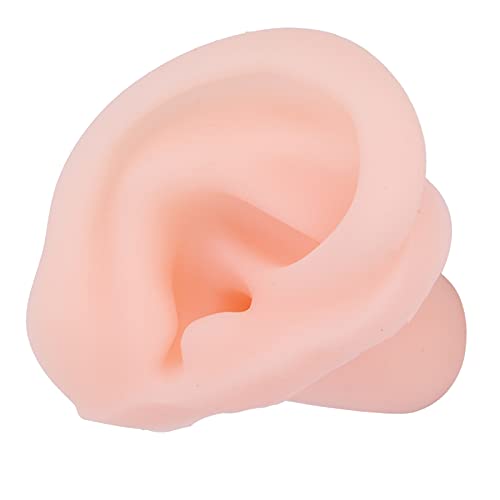 Silicone Acupuncture Ear Model, Silicone Ear Model Simulation Multifunctional...