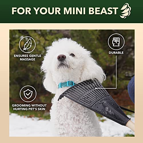 Back Scratcher | Lightweight, Oversized Rake Back Scratcher | 15 Prongs, Wide...