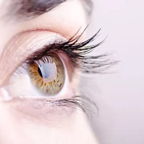 Docolor Eyelash Comb Separator Eyelashes Eyebrow Mascara Brush Applicator Eye...