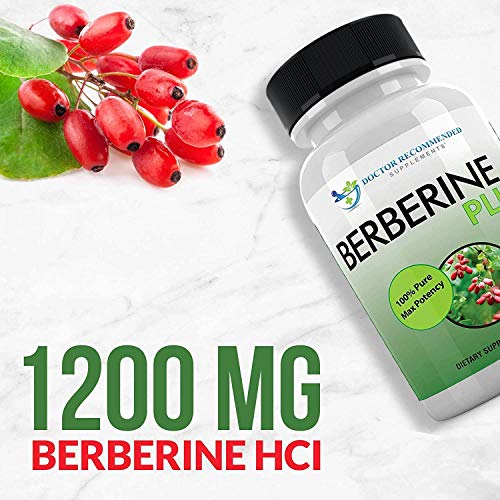 Berberine Plus 1200mg Per Serving - 120 Veggie Capsules Royal Jelly, Supports...