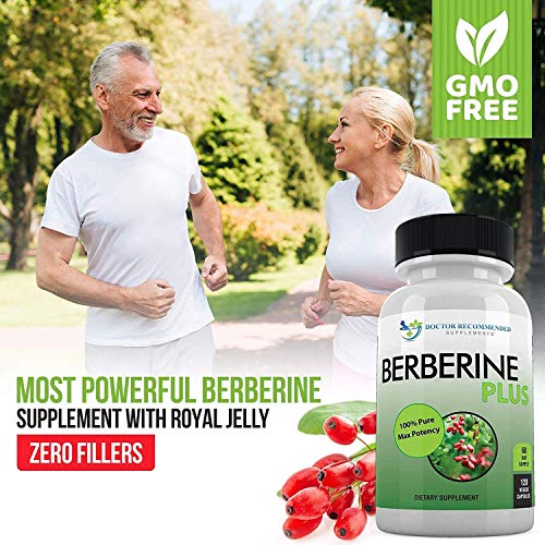 Berberine Plus 1200mg Per Serving - 120 Veggie Capsules Royal Jelly, Supports...