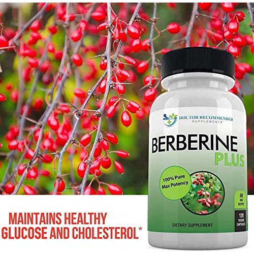 Berberine Plus 1200mg Per Serving - 120 Veggie Capsules Royal Jelly, Supports...