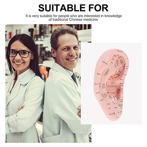DOITOOL Acupuncture Ear Model Artificial Display Sample Emulation Lettering E...