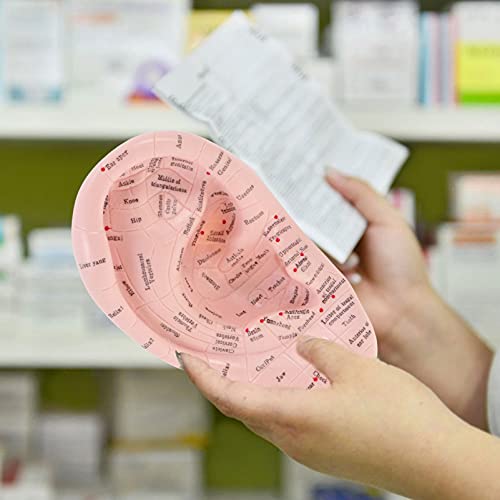 DOITOOL Acupuncture Ear Model Artificial Display Sample Emulation Lettering E...
