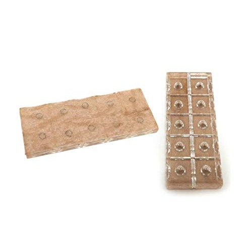 Dong Bang Ear Disposable Press T type 100pcs (1000pcs)