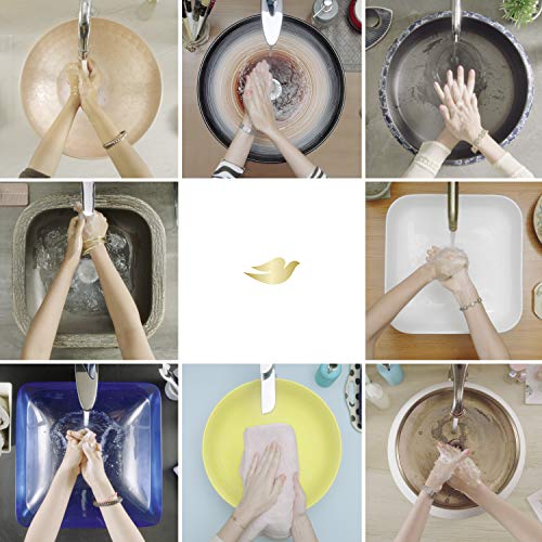 Dove Nourishing Foaming Hand Wash For Clean and Softer Hands Aloe and Eucalyp...