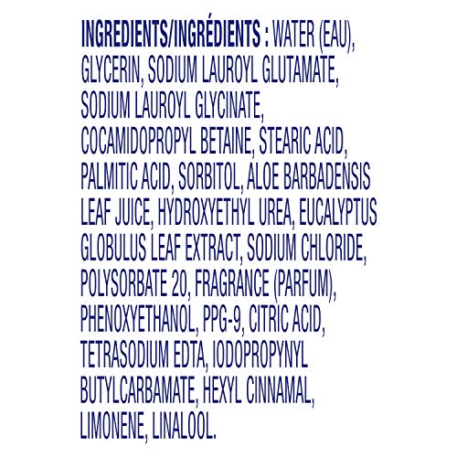 Dove Nourishing Foaming Hand Wash For Clean and Softer Hands Aloe and Eucalyp...