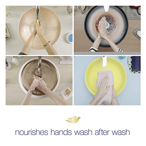 Dove Nourishing Foaming Hand Wash For Clean and Softer Hands Aloe and Eucalyp...