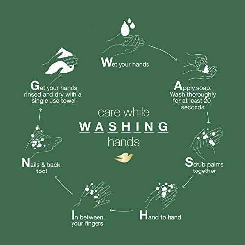 Dove Nourishing Foaming Hand Wash For Clean and Softer Hands Aloe and Eucalyp...