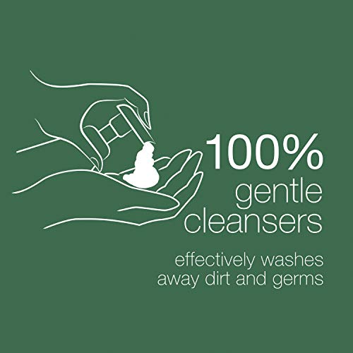 Dove Nourishing Foaming Hand Wash For Clean and Softer Hands Aloe and Eucalyp...