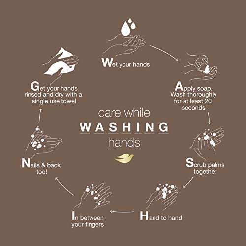 Dove Nourishing Foaming Hand Wash For Clean and Softer Hands Coconut and Almo...