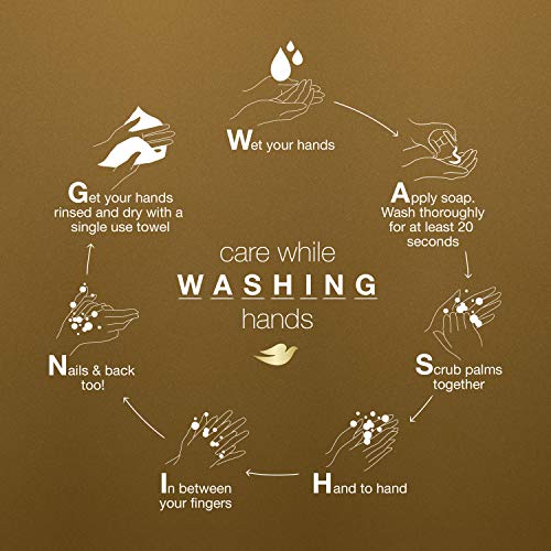 Dove Pampering Care Hand Wash For Clean & Softer Hands Shea Butter & Warm Van...