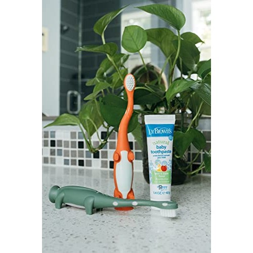 Dr. Brown's Toddler Toothbrush, Dinosaur, Green and Orange, 2-Pack