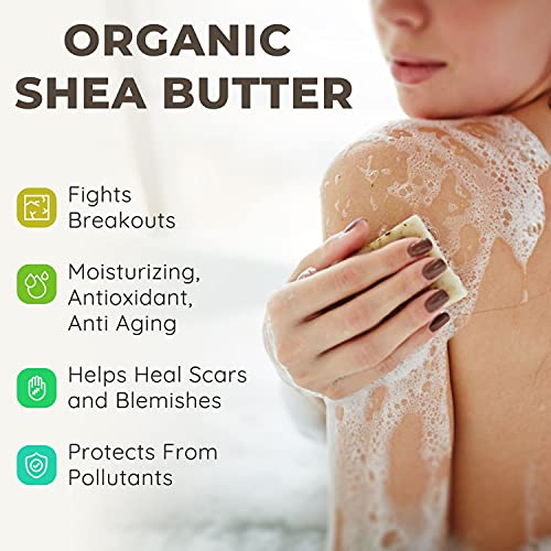 Hemp, Aloe and Charcoal Soap Bar - 5 oz Bar Soap - Skin Cleansing Hemp Soap -...