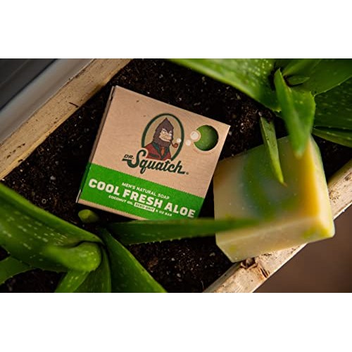 Dr. Squatch Men's Bar Soap FRESH Expanded Pack: Men's Natural Bar Soap: Fresh...