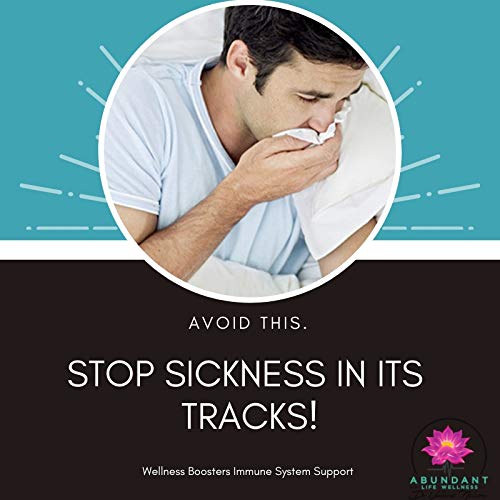 Echinacea Elderberry Goldenseal & More - 200 Caps - Wellness Boosters - by Dr...