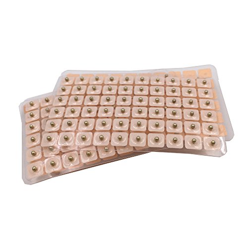 Dragon Acupuncture Magnetic Acupressure Ear Beads Pellets Seeds 300 Counts Re...