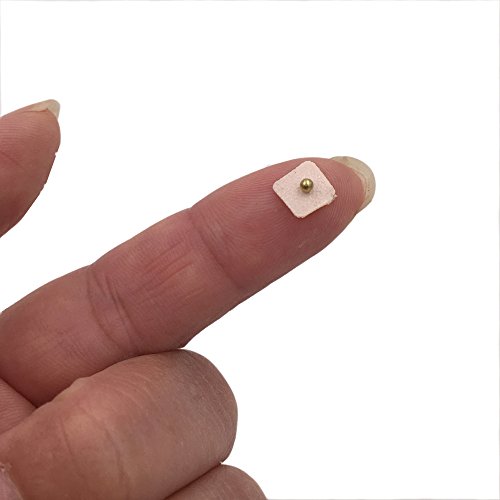 Dragon Acupuncture Magnetic Acupressure Ear Beads Pellets Seeds 300 Counts Re...