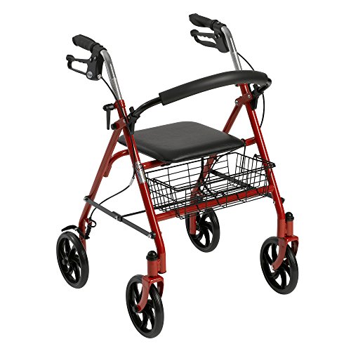 Drive Medical 10257RD-1 Four Wheel Rollator with Fold Up Removable Back Suppo...
