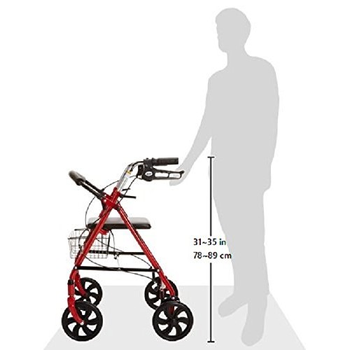 Drive Medical 10257RD-1 Four Wheel Rollator with Fold Up Removable Back Suppo...