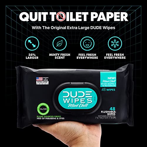 DUDE Wipes Flushable Wet Wipes Dispenser, Mint Chill, 48 Count (Pack of 3) Sc...