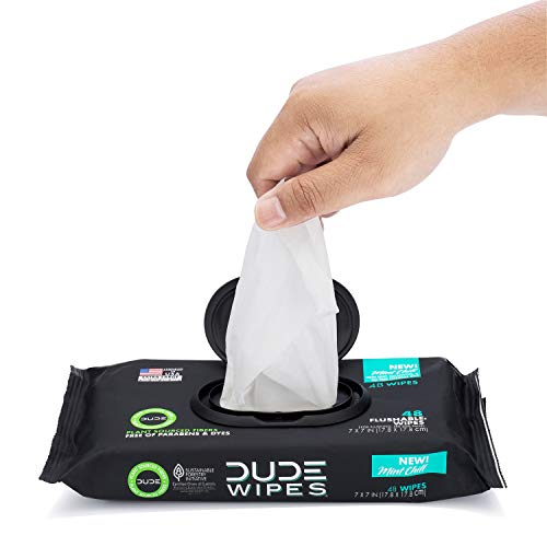 DUDE Wipes Flushable Wet Wipes Dispenser, Mint Chill, 48 Count (Pack of 3) Sc...