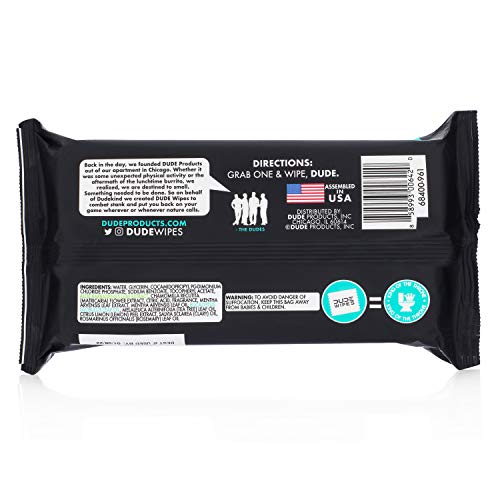 DUDE Wipes Flushable Wet Wipes Dispenser, Mint Chill, 48 Count (Pack of 3) Sc...