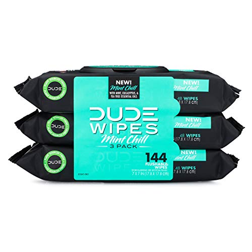 DUDE Wipes Flushable Wet Wipes Dispenser, Mint Chill, 48 Count (Pack of 3) Sc...