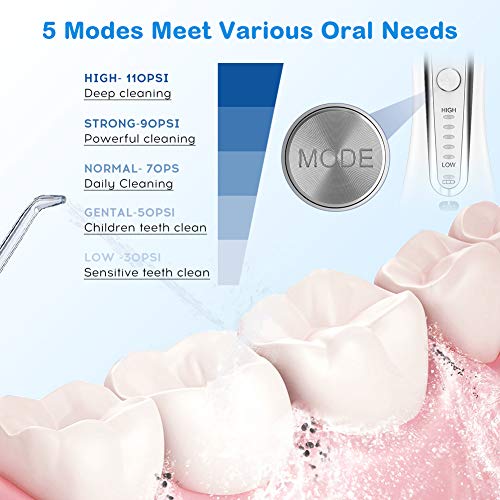 Water Flosser for Teeth, Professional Dental Oral Irrigator with 300ML Water ...