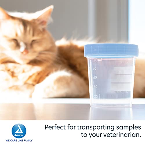 Dynarex Specimen Containers, 4 Ounce, 500 Count