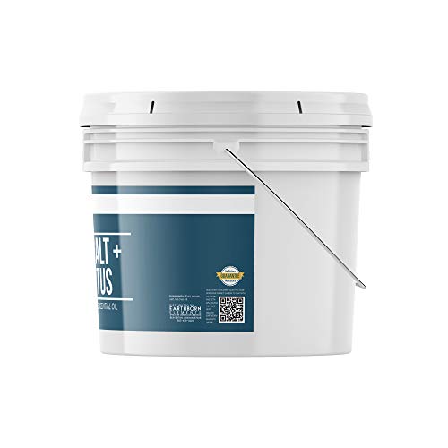 Eucalyptus Epsom Salt (1 Gallon) Infused with Eucalyptus Essential Oil, Foot ...