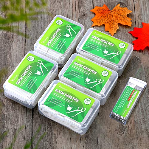 Dental Floss Picks, 5 Travel Floss Cases 300 Counts Dental Flossers,Floss Sti...