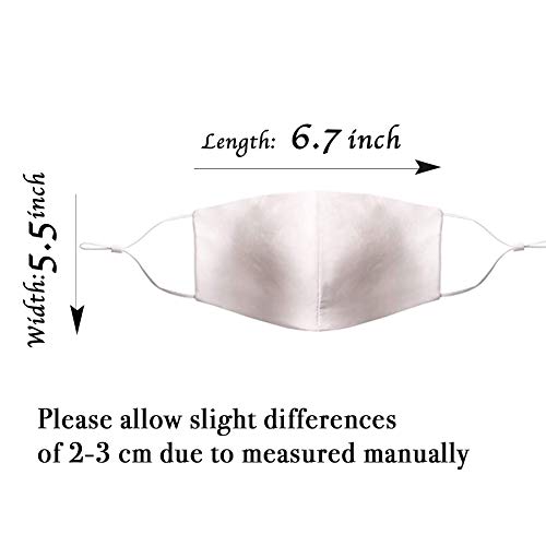 4-pack 100% Mulberry Silk Face Mask with 8 Filters for Women Reusable Washabl...