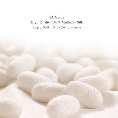 4-pack 100% Mulberry Silk Face Mask with 8 Filters for Women Reusable Washabl...