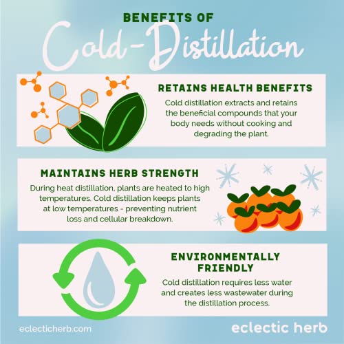 Eclectic Bloodroot, 2 Ounce