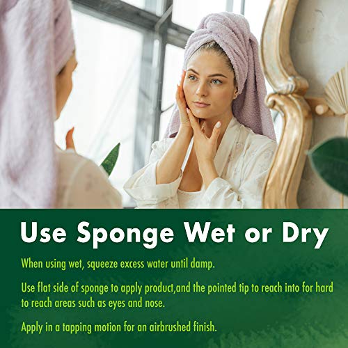 EcoTools Beauty Makeup Blender Sponge, For Liquid Foundation and Concealer, ....