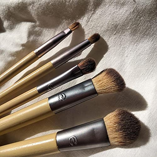 EcoTools Daily Defined Makeup Brushes for Eyes, With Beauty Cards and Storage...