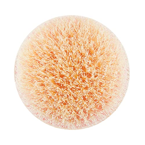 EcoTools Dry Brush, Gentle Exfoliating Scrubber For Skincare and Beauty, Pore...