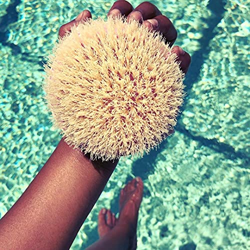 EcoTools Dry Brush, Gentle Exfoliating Scrubber For Skincare and Beauty, Pore...