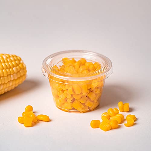 EDI Clear Plastic Disposable Portion Cups with Lids, 4 Ounce (50 Count)