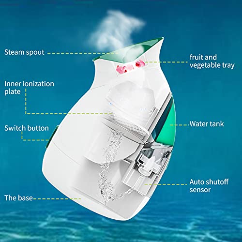 Facial Steamer, EFATOPRO Nano Ionic Face Steamer with Warm Mist, Fruit & Vege...