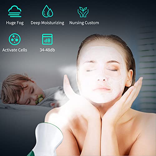 Facial Steamer, EFATOPRO Nano Ionic Face Steamer with Warm Mist, Fruit & Vege...