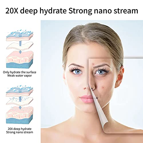 Facial Steamer, EFATOPRO Nano Ionic Face Steamer with Warm Mist, Fruit & Vege...