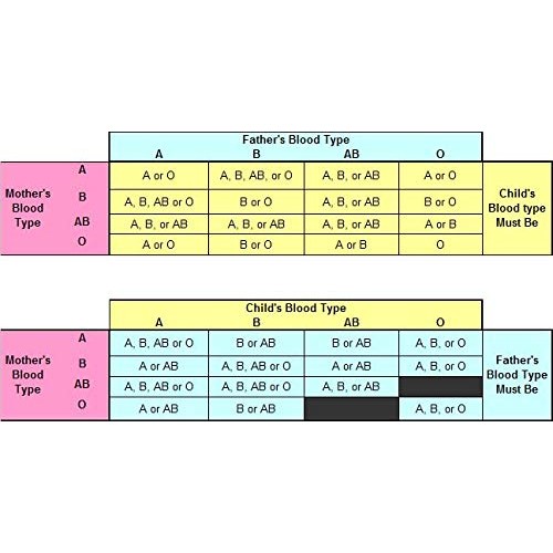 5 x Eldoncard Blood Type Test | A,B,O,AB & Rh Test | 5 x One Step Extra Lance...