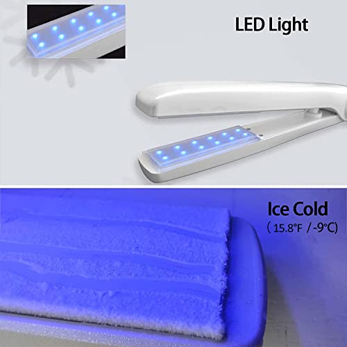 Frozen Flat Hair Iron Hair Colour Hairdressing Hair Salon 15.8F for Dye Hair ...